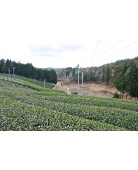 Le lieu-dit Dosenbo se trouve dans le vilage de Minami-Yamashiro situé à l’extrême Est du département de Kyoto.