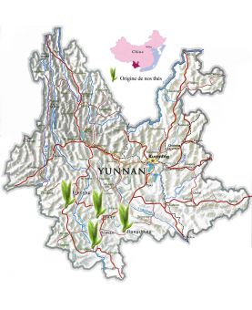 Tuo Cha (nids de thé) Pu'Er Shu de 2014 - Thé sombre de Chine