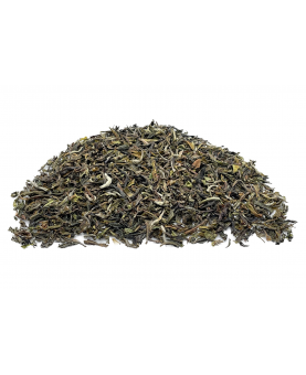 Jardin de BADAMTAM Darjeeling First Flush - DJ-03 SFTGFOP1 - 2023