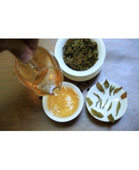 Jardin de BADAMTAM Darjeeling First Flush - DJ-03 SFTGFOP1 - 2023