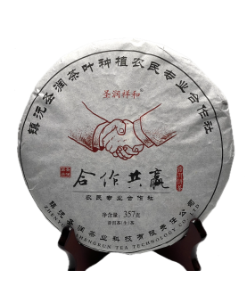 Galette de Thé Pu'Er Sheng (cru) 2019 Hezuo Gongying 合作共赢  Yunnan Zhenyuan 357g