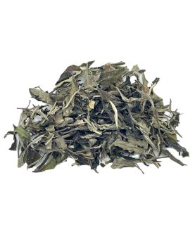 Lao Shu Bai Cha : Thé blanc du Yunnan - Kancha Tea