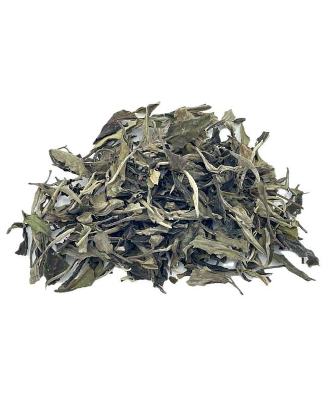 Lao Shu Bai Cha : Thé blanc du Yunnan - Kancha Tea