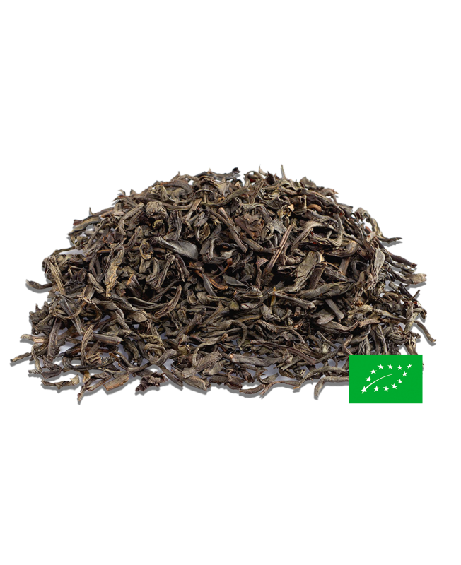 Tarry « Crocodile » Souchong BIO* Thé de Chine fumé 烟正山小种