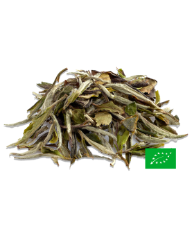 Bai Mu Dan 白牡丹 Thé Blanc de Chine Bio