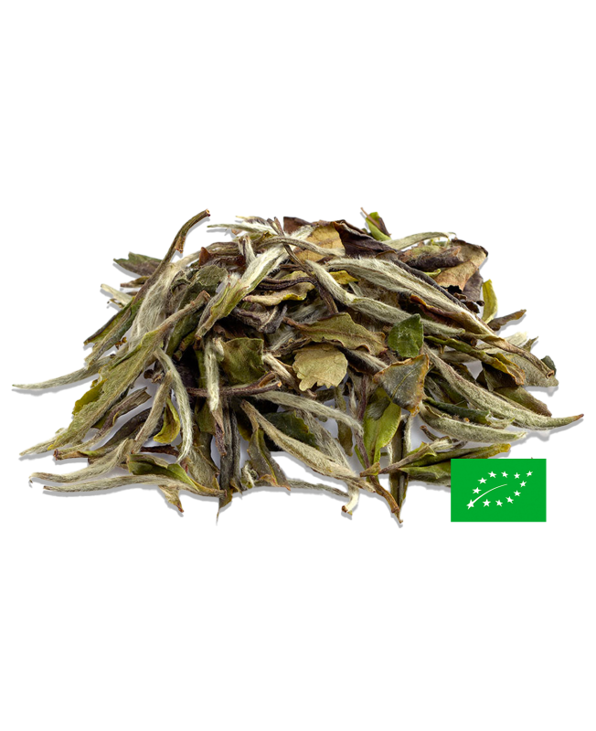 Bai Mu Dan 白牡丹 Thé Blanc de Chine Bio