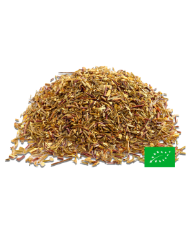 Rooibos Nature Vert BIO*