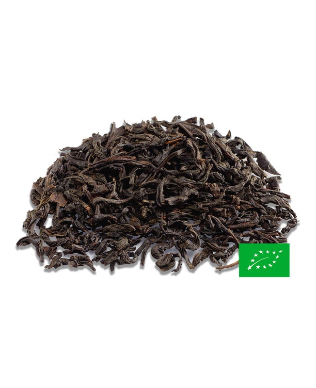 Lapsang Souchong 烟正山小种 BIO Thé Noir Fumé de Chine