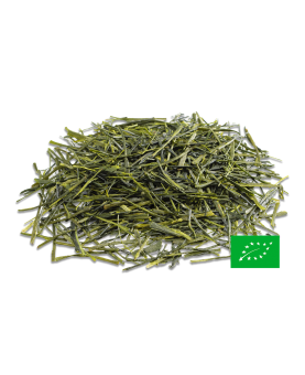 Miyazaki Sakimidori Sencha BIO* Thé Vert  Japonais 宮崎煎茶