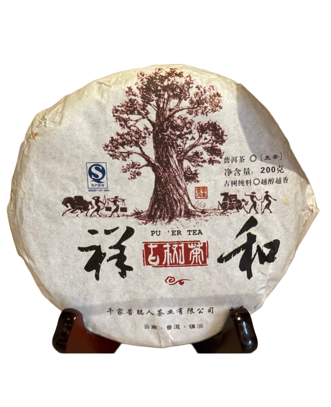 Galette de thé Pu Er Sheng - Théiers sauvages 2016