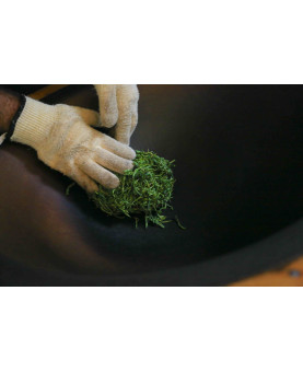 cuisson des feuilles - thé vert de l'Arrieulat 2025 - produit en France