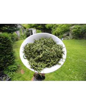 feuilles ramollies après cuisson - thé vert de l'Arrieulat 2025 - produit en France