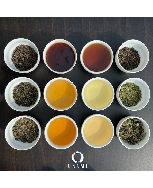 ATELIER DÉCOUVERTE 6 FAMILLES UNAMI