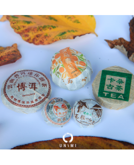 ATELIER PU'ER THE SOMBRE UNAMI