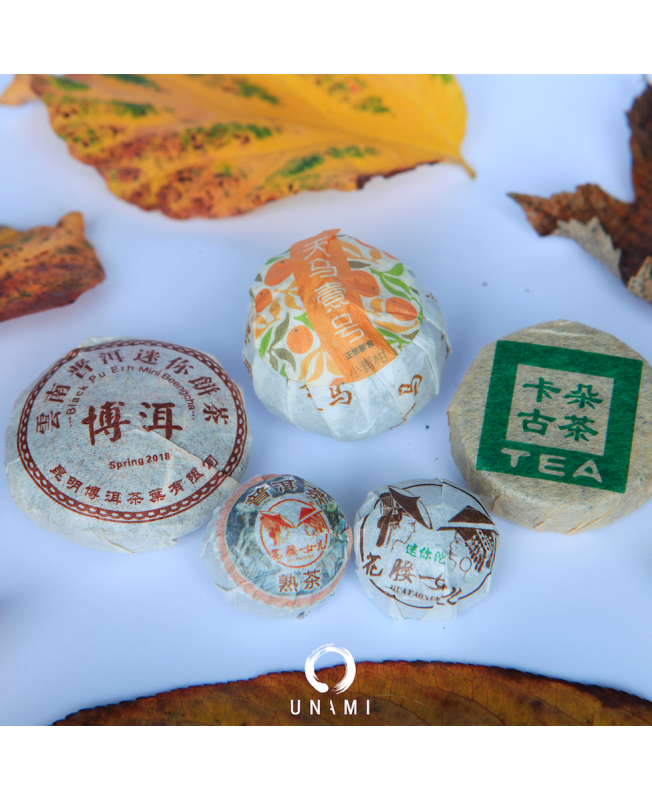 ATELIER PU'ER THE SOMBRE UNAMI