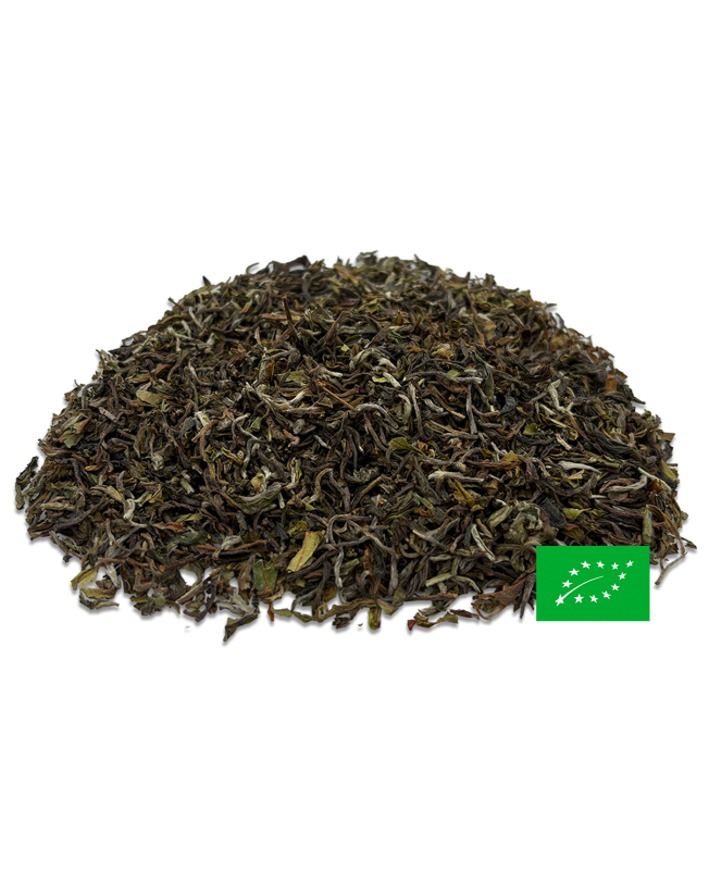 Jardin de BADAMTAM Darjeeling First Flush - DJ-06 SFTGFOP1 - 2025