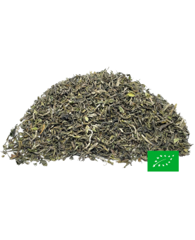 Jardin de BANNOCKBURN Darjeeling First Flush - DJ-05 SFTGFOP1 - 2023