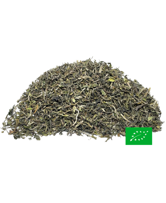 Jardin de BANNOCKBURN Darjeeling First Flush - DJ-05 SFTGFOP1 - 2023