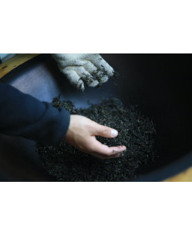 Torréfaction des feuilles de wulong - thé de l'Arrieulat 2025 - produit en France