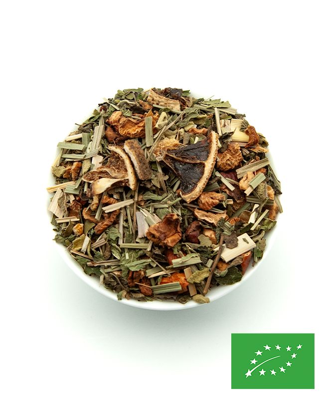 La Citrouille Enchantée Mélange de Fruits et de Plantes BIO