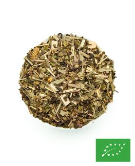 Potion magique maté vert, pu'er et plantes BIO