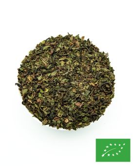 Atlas - Thé vert à la Menthe - BIO