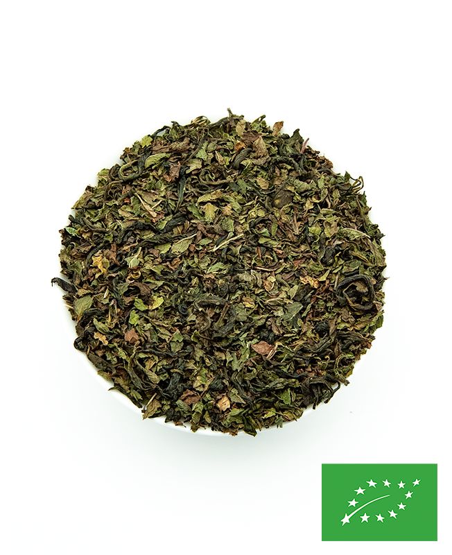 Atlas - Thé vert à la Menthe - BIO