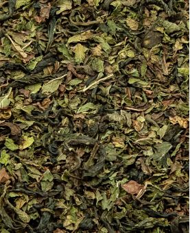 Atlas - Thé vert à la Menthe - BIO