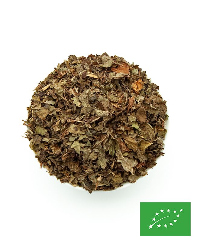 Mélisse en feuille BIO