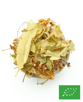 Tilleul Bractée BIO