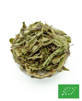 Verveine Citronnée BIO - feuilles entières - Crète