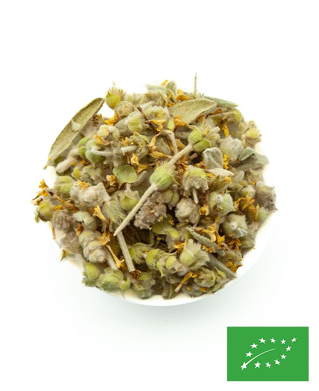 Malotira BIO - Sideritis syriaca - Crète - feuilles entières