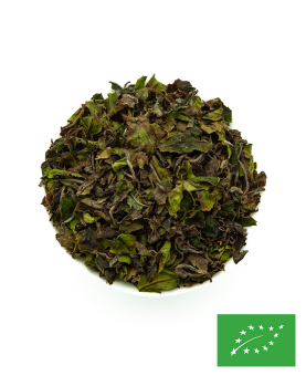 Haku-Dou Thé Blanc du Japon BIO