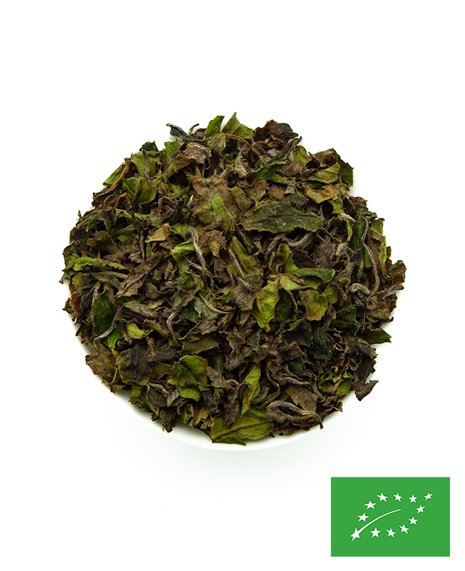 Haku-Dou Thé Blanc du Japon BIO