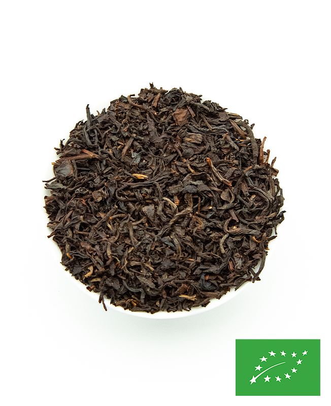 Tarry « Crocodile » Souchong BIO Thé de Chine fumé 烟正山小种
