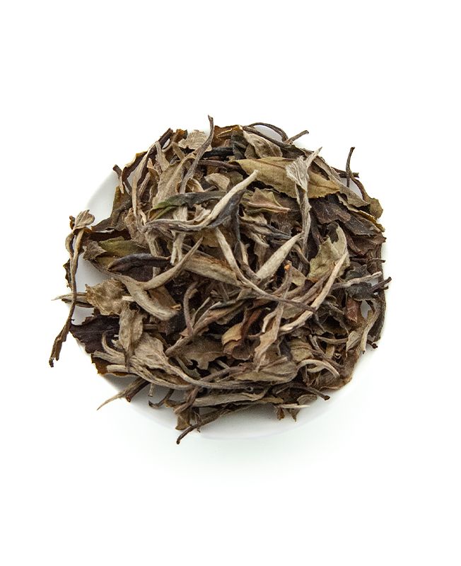Lao Shu Bai Cha : Thé blanc du Yunnan