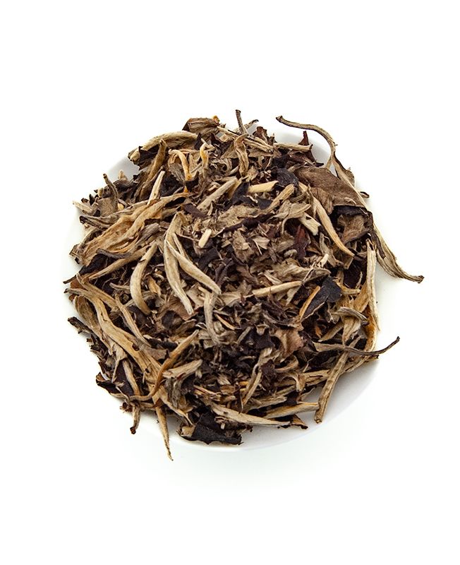 MOONLIGHT Lumière de Lune Théiers Anciens - Grand Cru Thé Blanc de Chine - Eastern Leaves -