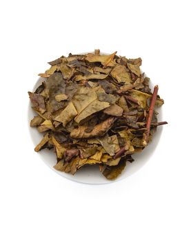 Thé Jaune de l'Arrieulat - produit en France