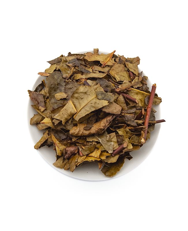 Thé Jaune de l'Arrieulat - produit en France