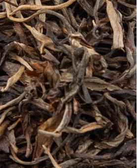 Hong Tu Cha 2020 - Maocha