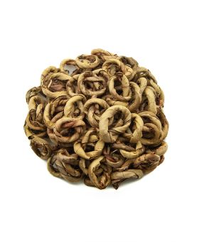 Lumbini Ladalucharkra Grand Cru du SRI LANKA(Deniyaya)