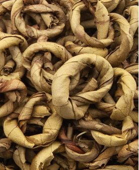 Lumbini Ladalucharkra Grand Cru du SRI LANKA(Deniyaya)