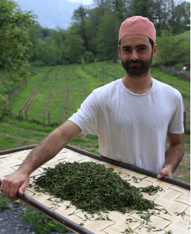 Lucas avec le lot de thé vert