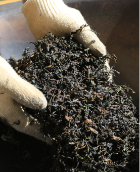 séchage des feuilles de wulong au wok