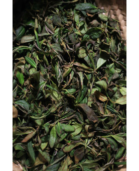 feuilles de wulong en cours d'oxyadation