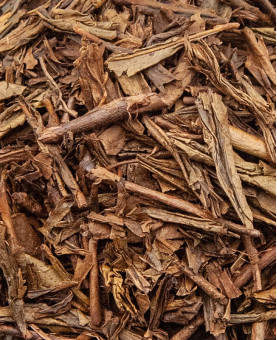 bancha kirishima houjicha zoom