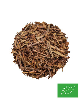 bancha kirishima houjicha