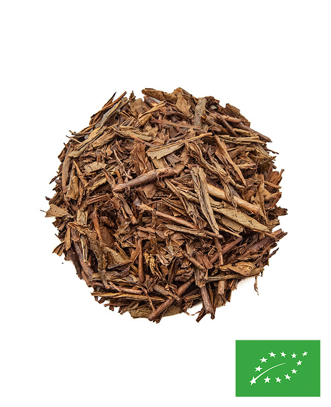 bancha kirishima houjicha