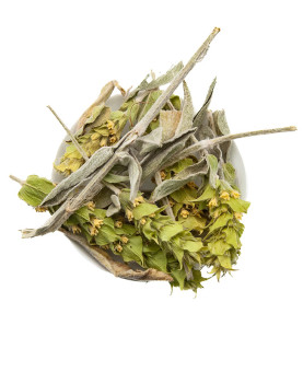 Malotira BIO* - Sideritis syriaca - Crète - feuilles entières