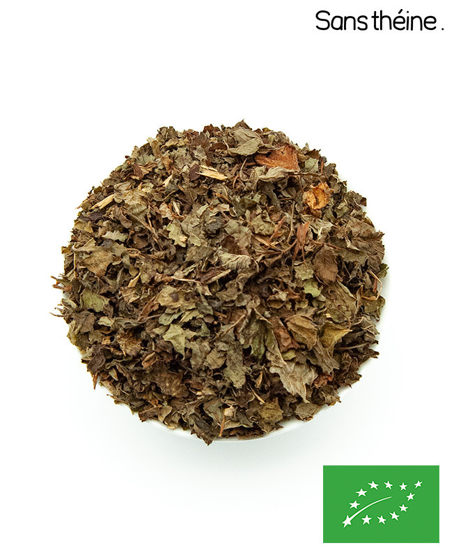 Mélisse en feuille BIO